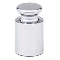 Calibration Weight , 100g, OIML Class F1, includes Statement of Accuracy