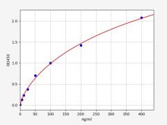 Bovine HSP90(Heat shock protein 90) ELISA Kit (96T)