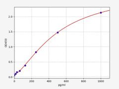 Canine IL-8(Interleukin 8) ELISA Kit (96T)