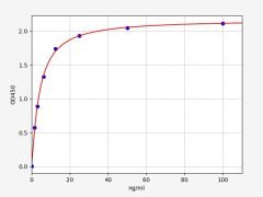 Rat HbA1C(Glycosylated Hemoglobin/Hemoglobin A1c) ELISA Kit (96T)