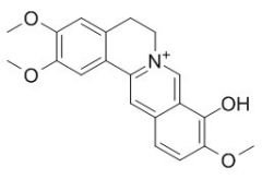 RCLCFN90505