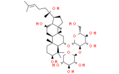 20(S)-Notoginsenoside R2