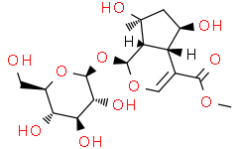 Flavonoids Duyiwei