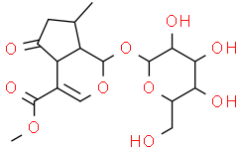 Verbenalin;Verbenaloside; Cornin