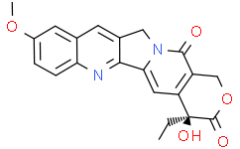 10-Methoxycamptothecine