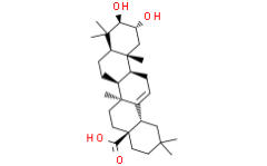 Maslinic acid