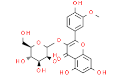 Isorhamnetin-3-O-galactoside