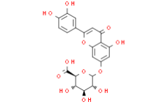 Luteolin 7-O-glucuronide