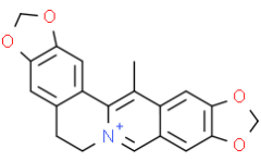 Worenine