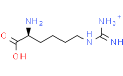 L-Homoarginine