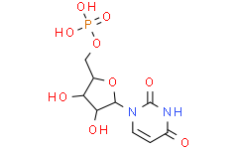 5'-Uridylic acid