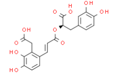 Salvianolic acid D
