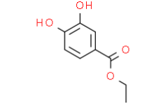 Ethyl 3,4-dihydroxybenzoate