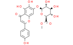 Scutellarin methyl ester