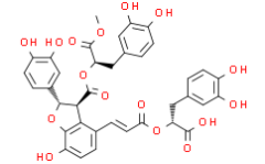 9''-Methyl salvianolate B