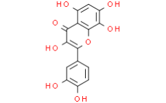 Equisporol