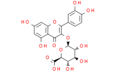 Quercetin 3-O-?-D-Glucuronide