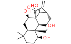 kamebakaurin