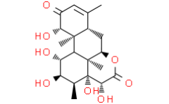 14,15-beta-dihydroxyklaineanone