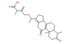 (R,S)-Antcin A