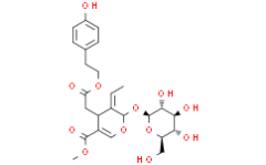 Ligustroside