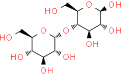 Maltose