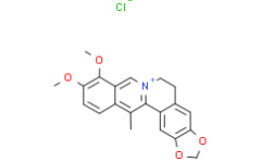 13-Methylberberine