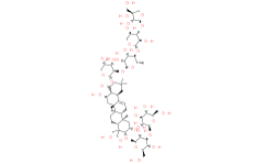 PlatycodinD2