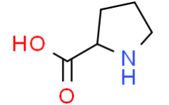 D-proline