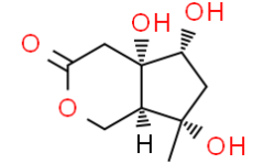 Buergerinin B