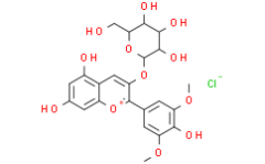 Malvidin-3-Galactoside chloride