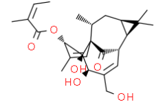 Ingenol 3-Angelate