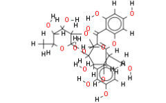 Quercetin-3-O-D-glucosyl]-(1-2)-L-rhamnoside