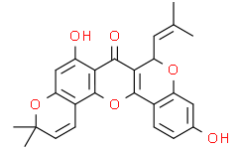 Cyclomorusin