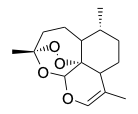 RCLS51068.jpg