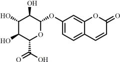 7-Hydroxycoumarin Glucuronide