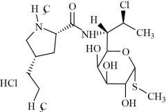 Clindamycin Impurity 50 HCl