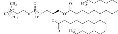 DPPC (Dipalmitoylphosphatidylcholine)