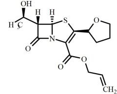 Faropenem Related Compound 4