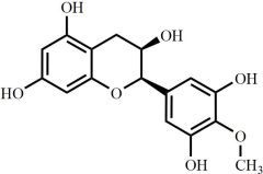 4'-O-Methyl-(-)-Epi-Gallocatechin
