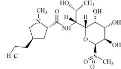 Lincomycin Sulfone