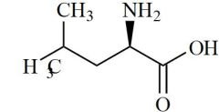 D-Leucine