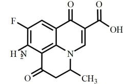 Nadifloxacin Impurity 4