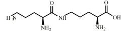 L-Ornithine Dimer