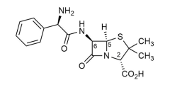 Ampicillin