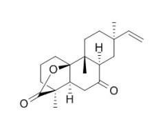 RCLCFN98805