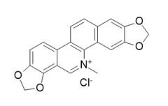 RCLCFN80234
