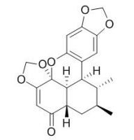 RCLCFN90153