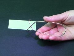 Slide Holding Forceps