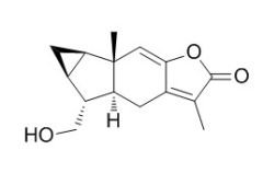 RCLCFN96273